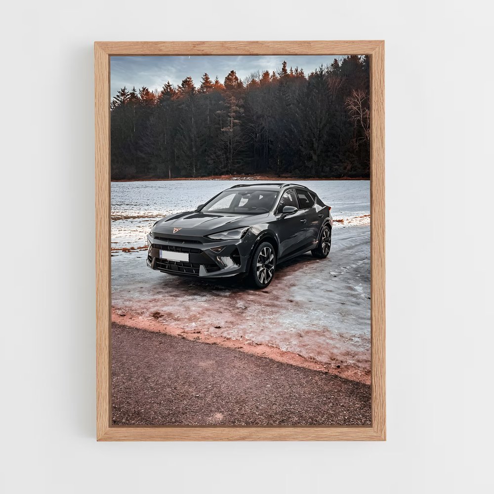 Poster Formentor de Évasion – affiche Cupra (vue 4)